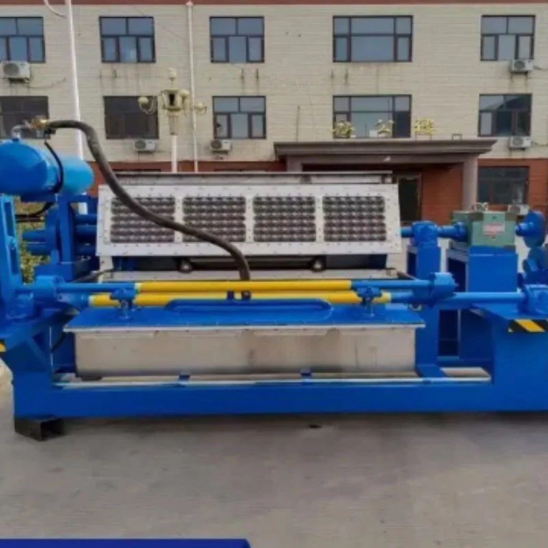 Egg Tray Processing Line factory